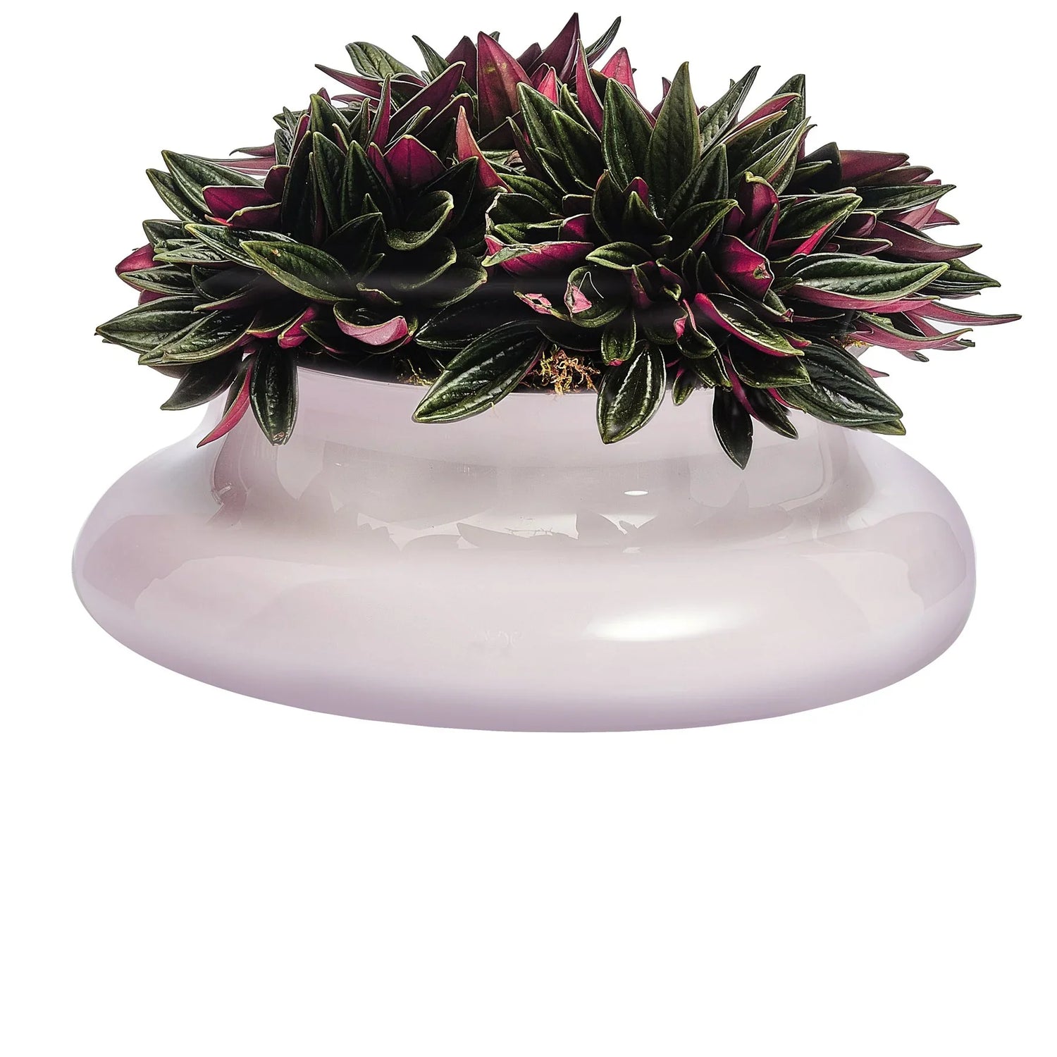 Kurage Vase