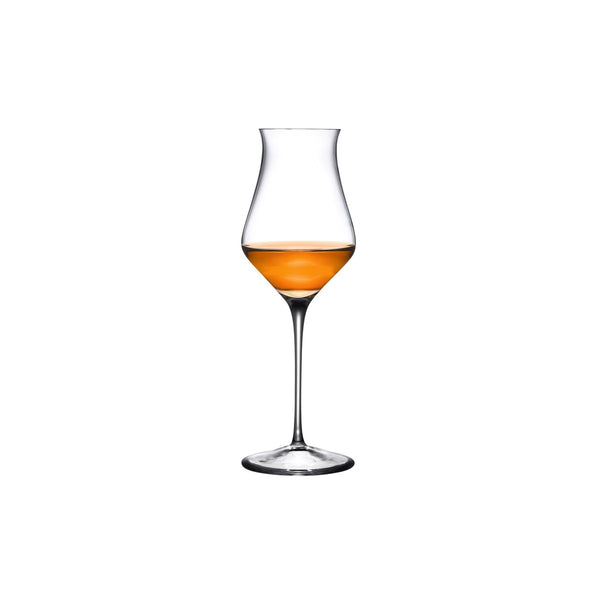 Malt Set of 2 Whisky Glasses – NUDE International