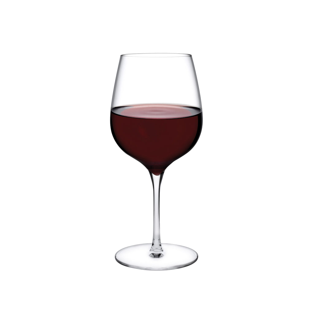 Terroir Set Of 2 Red Wine Glasses 590 Cc Nude Usa